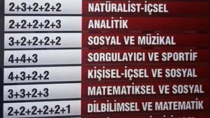 Sizin zekanız hangisi?