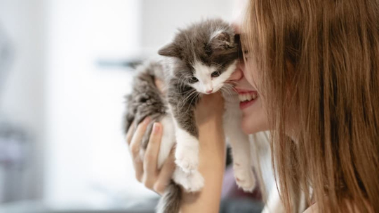 Kedi severken kendinizden geçiyor musunuz?