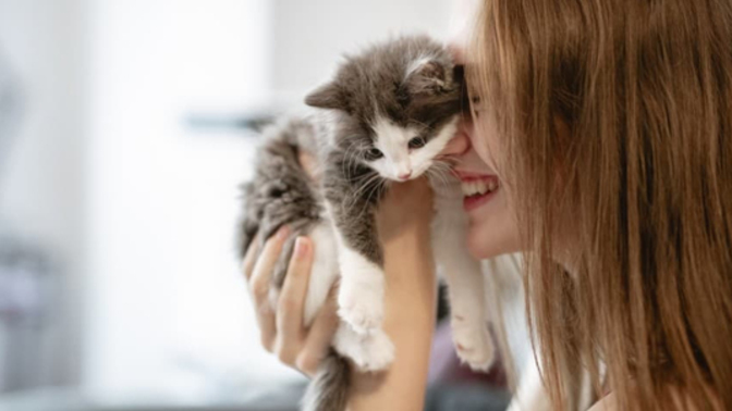 Kedi severken kendinizden geçiyor musunuz?