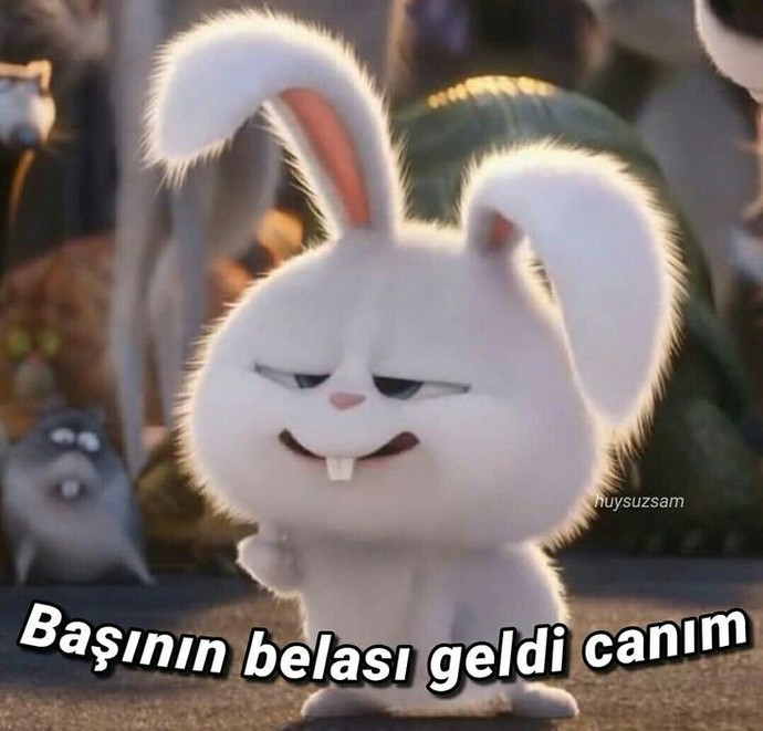 😇