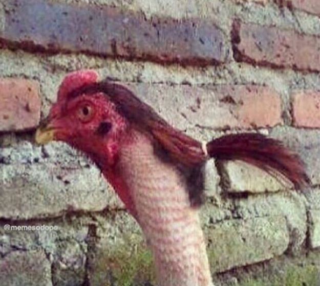 Sabah uyandığınızda nasıl bir tipiniz oluyor?