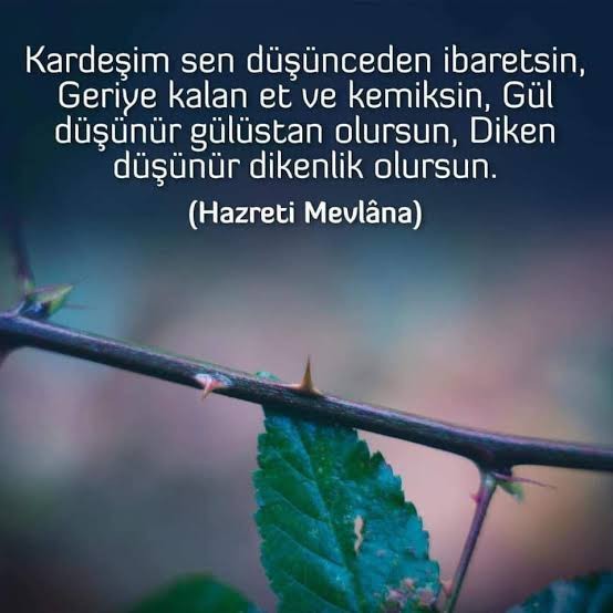 Öğrenmeniz gereken dersi öğreninceye kadar karmanın yükünü sırtınızda taşırsınız. O yükü taşımayı bıraktınız mı?