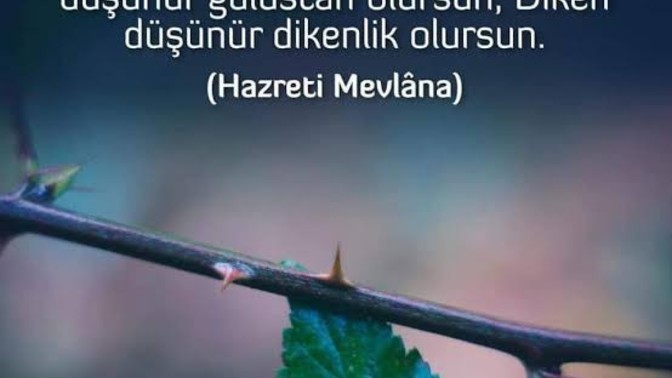 Öğrenmeniz gereken dersi öğreninceye kadar karmanın yükünü sırtınızda taşırsınız. O yükü taşımayı bıraktınız mı?