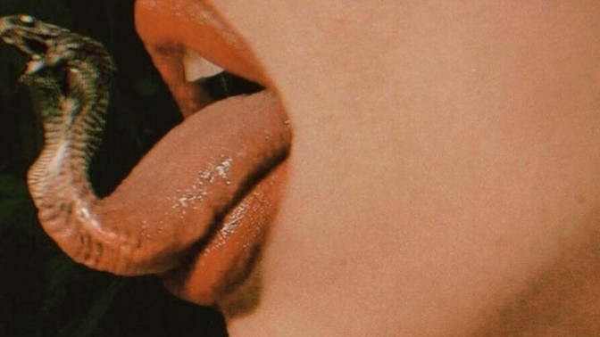 Tatlı dil yılanı deliğinden çıkarır mi? Sizce tatlı dille karşı cinse her şey yaptırılabilinir mi?