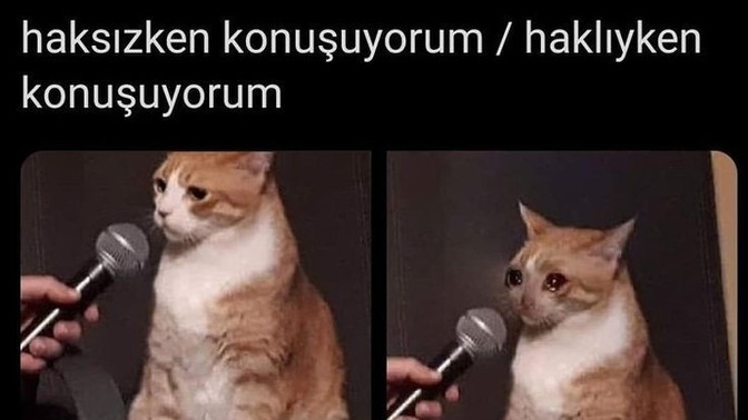 Haksız olunca konuşabilir misin?