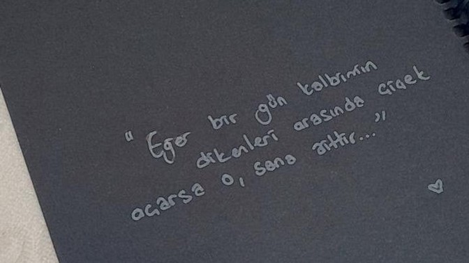 "Eğer bir gün kalbimin dikenleri arasında çicek açarsa o, sana aittir." dediğiniz birisi var mı?