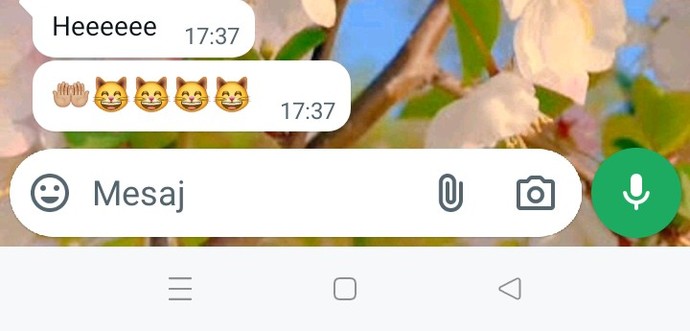 Son gelen mesajınız neydi?
