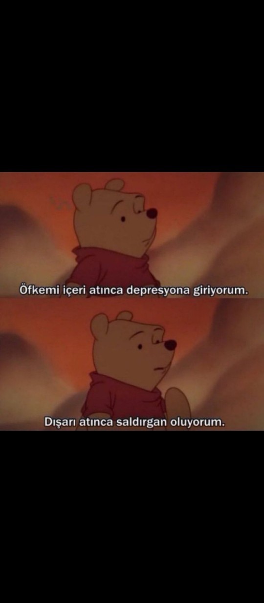 Öfkenizi anında yansıtır mısınız? Yoksa biriktirir misiniz?