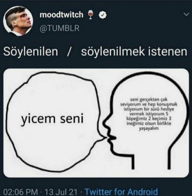 seni yerim ne demek?