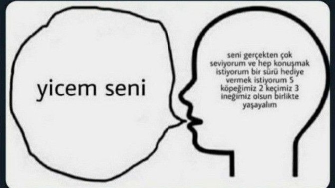 "seni yerim" ne demek?