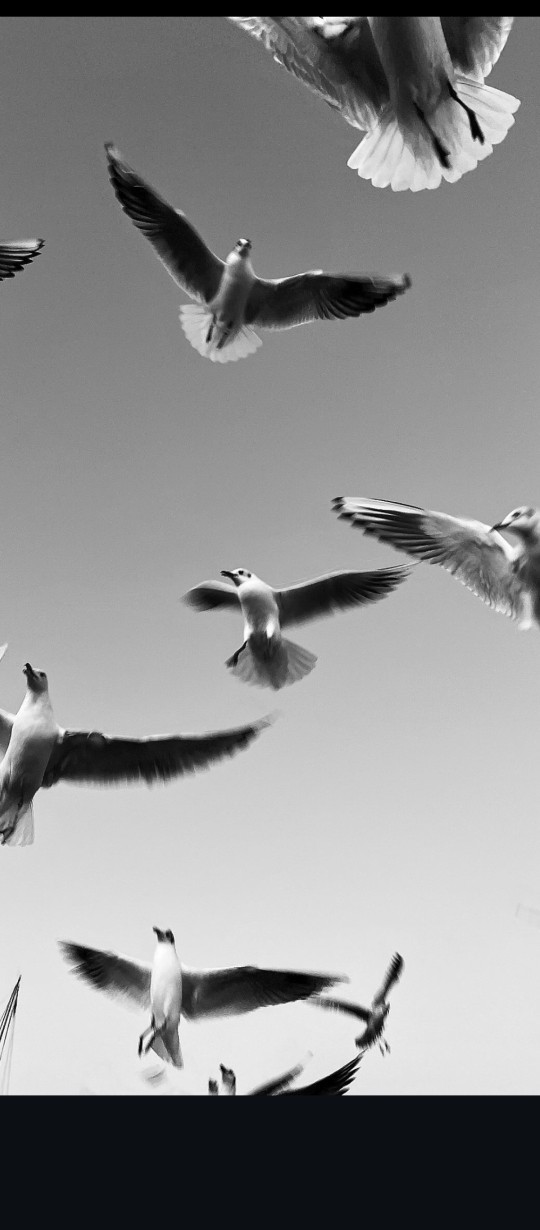 Günün fotoğrafı ne olsun sence?