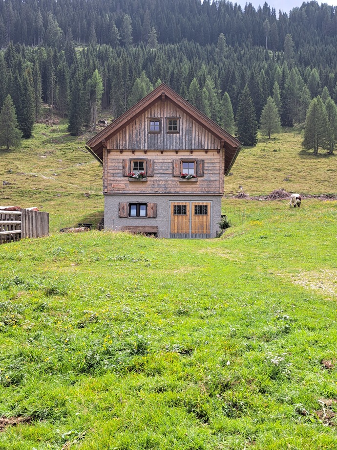 Günün fotoğrafı ne olsun sence?