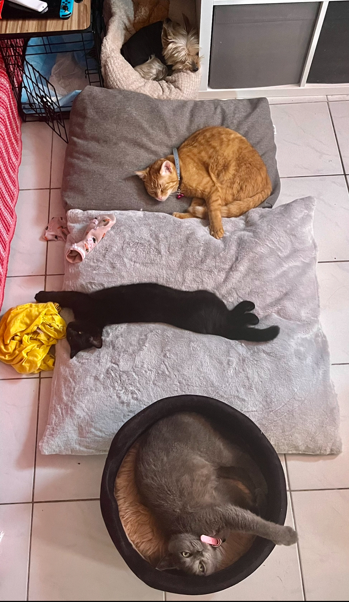 Çok güzel bir fotoğraf değil mi 😂?