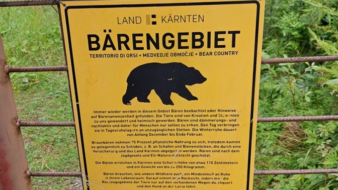 Hangi konularda risk alirsin? Kendinizi cesur görüyor musun?