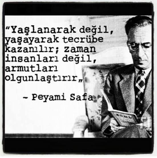Sen yaşadıkça mı yaş aldıkça mı tecrübe kazananlardansın?⬇️⬇️