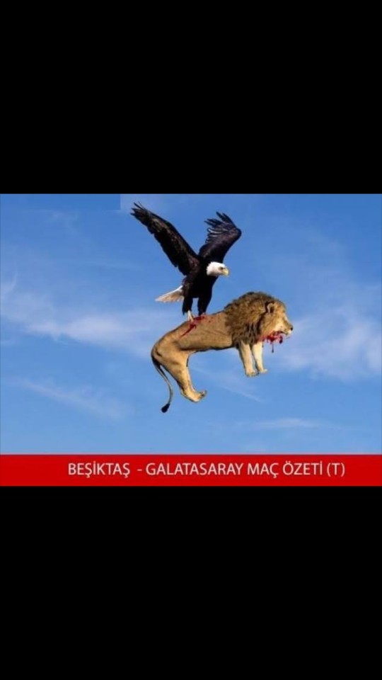 Süper kupanın sahibi Beşiktaş oldu! Beşiktaş, Galatasaray’ı 5-0 mağlup ederek kupayı müzesine götürdü. Kartal'ın performansını nasıl buldunuz?