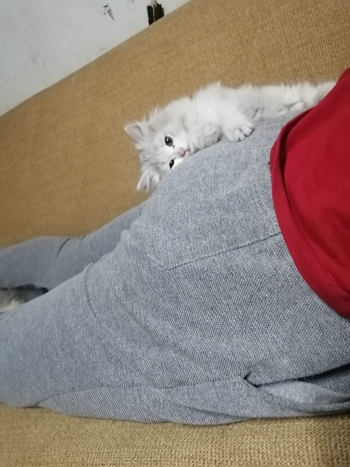 Galerinizde anlam veremediğiniz fotoğraflar var mıı?