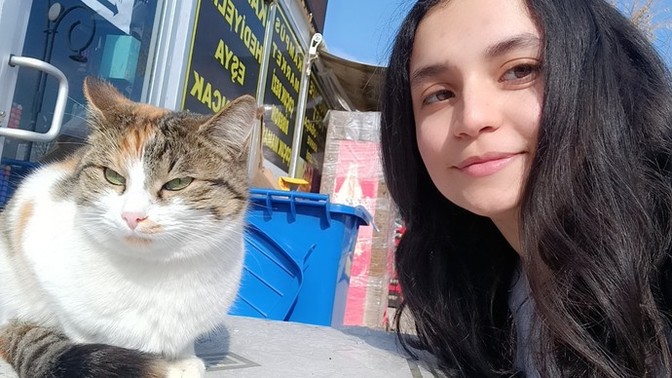 Kedisini kendi doğuran var mı?