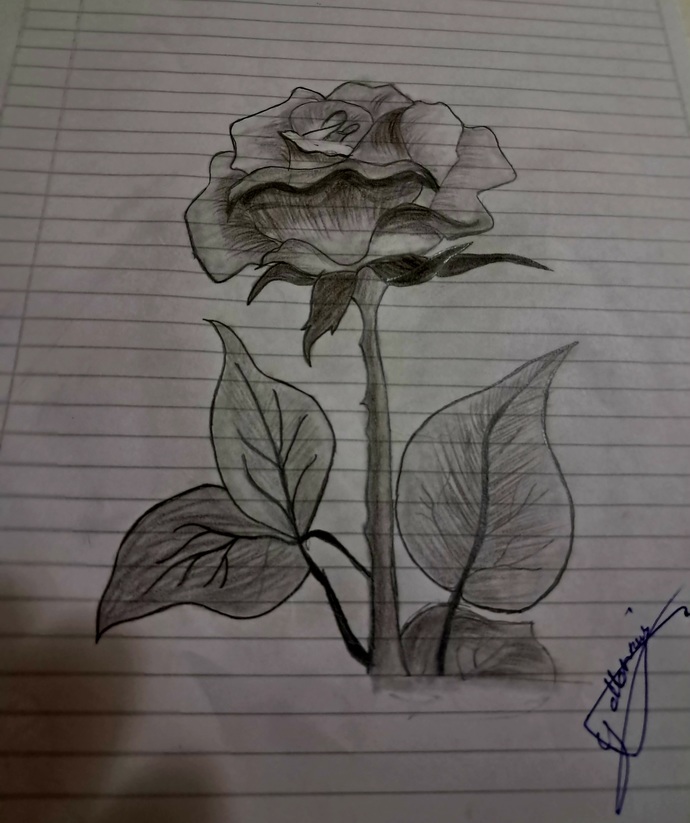 Sizden ressam olur mu?
