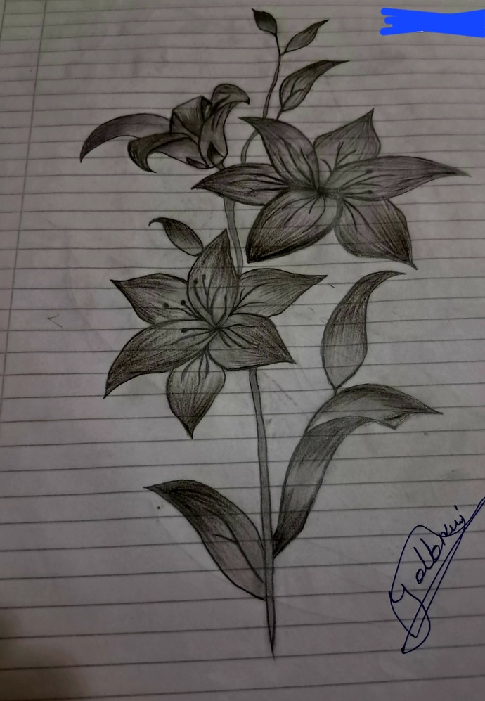 Sizden ressam olur mu?