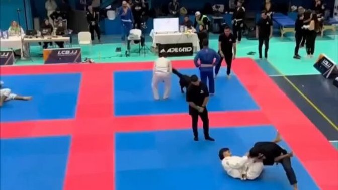 Judo müsabakasında sahibini korumak için tribüne atlayan köpek yüzleri güldürdü! Köpeklerin en sevdiğiniz yönü nedir?