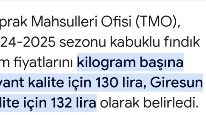 Fındık fiyatı sizce güzelmi olmuş yoksa daha yüksek fiyatmı bekliyordunuz?