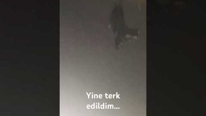 Daha önce hiç yarıda bırakıldınız mı?