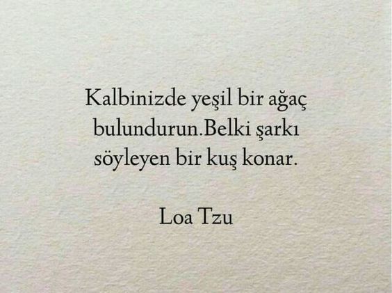 Bir daha sevmemeye tövbe edip sizi yeniden birisini sevmeye iten neden ne olabilir?