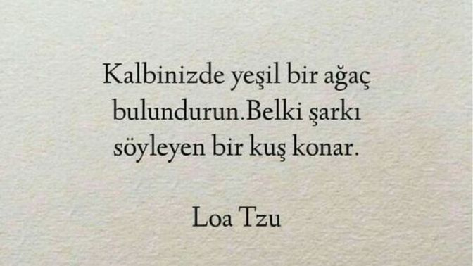 Bir daha sevmemeye tövbe edip sizi yeniden birisini sevmeye iten neden ne olabilir?