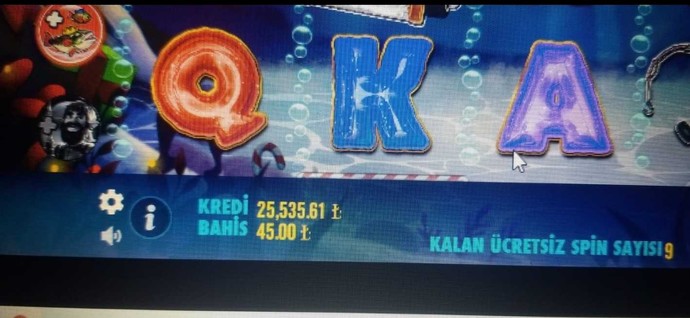 Anlık napıyonuz?