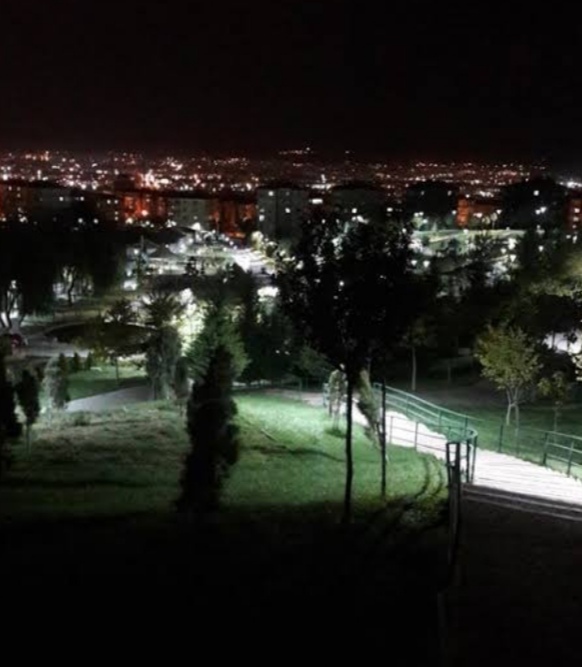 Güzel bir manzaraya baktığımızda iyi hissederiz bunun evrimsel bir nedeni var mıdır?