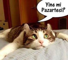 Yine mi pazartesi?