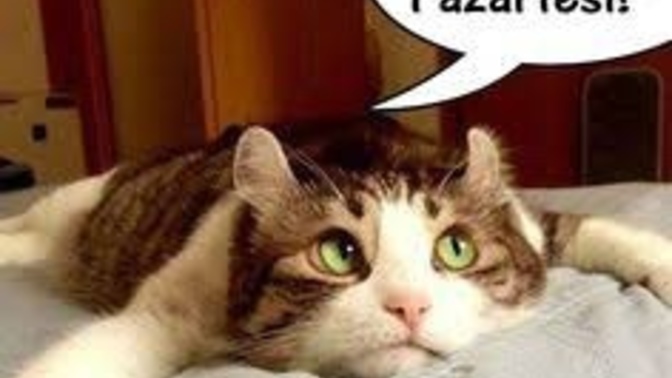 Yine mi pazartesi?
