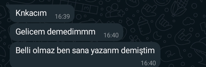 Arkadaşım bize gelecekti aileme sorayım izin verirseler akşam gelirim dedi görsel aşağıda?
