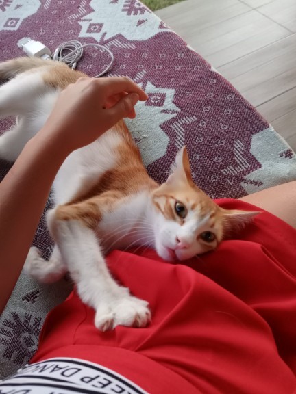 Etrafımızda sizi dinleyen birileri var mı?