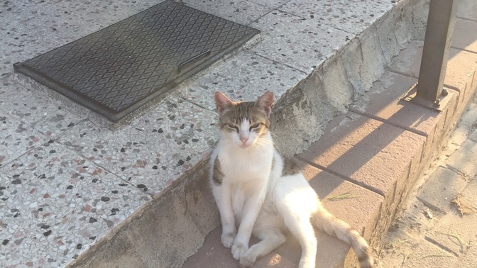 Şu an en çok neye hevesiniz var?