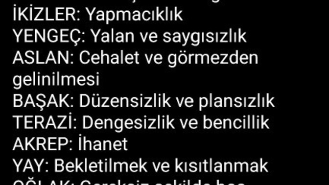 Burcuna göre tahammül edemediğin şey nedir?