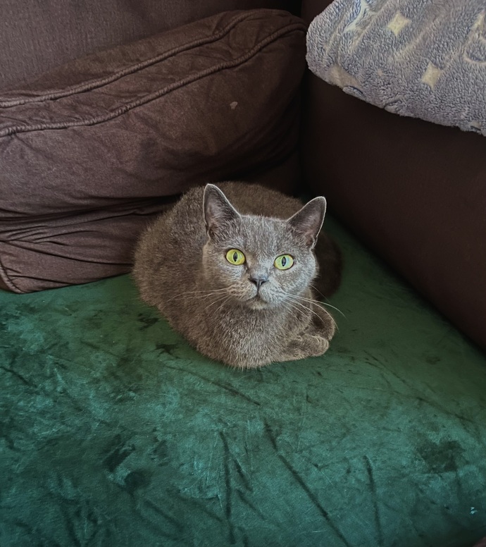 Yeni fotoğrafımız nasıl 💚😍?