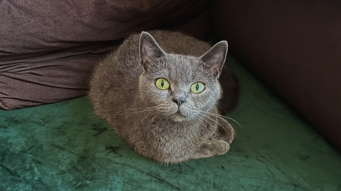 Yeni fotoğrafımız nasıl 💚😍?