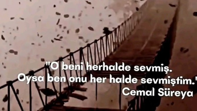 Siz sevginizi nasıl belli edersiniz?