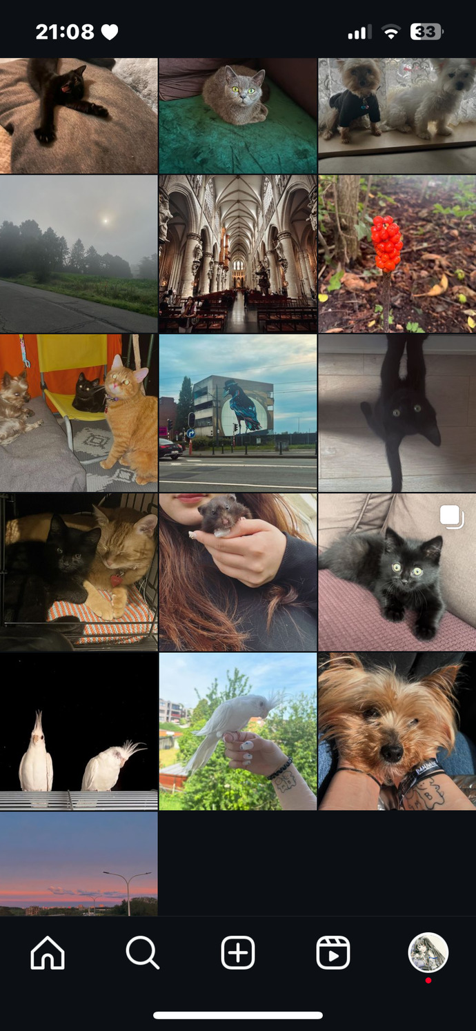 Sizce instagramımda güzel şeyler paylaşmış mıyım?