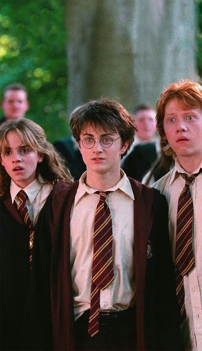 Harry Potter dizisinde en sevdiğiniz karakter kimdir?