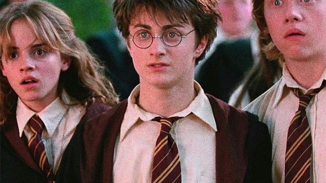 Harry Potter dizisinde en sevdiğiniz karakter kimdir?