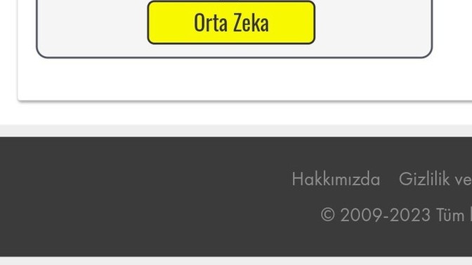 IQ Testleriyle Aranız Nasıl?