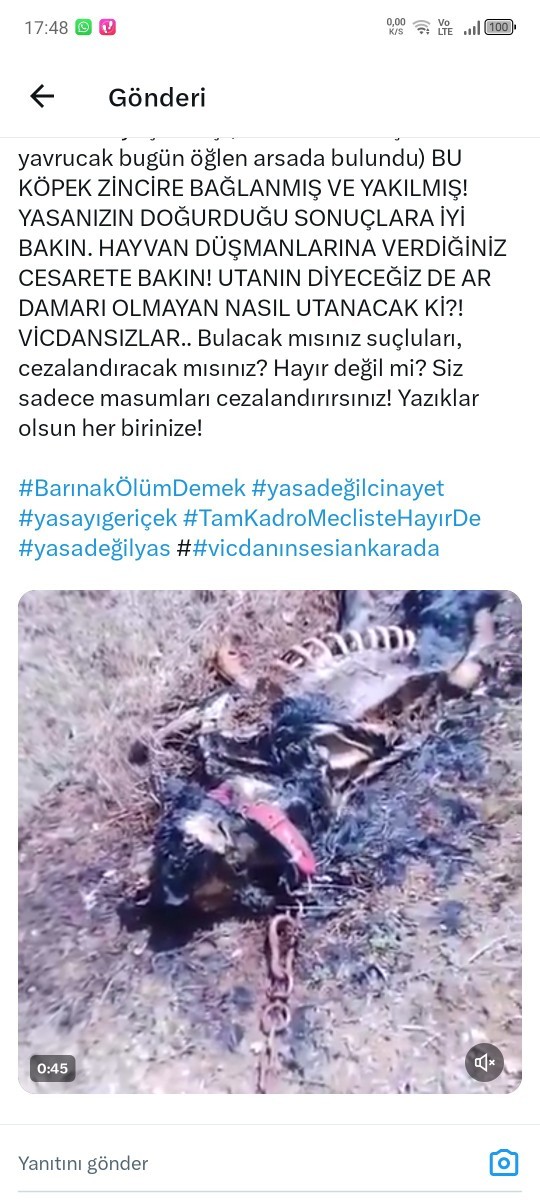 Sa gençler sokak hayvanlarının uyutulacak olmasını doğru buluyonuz mu?