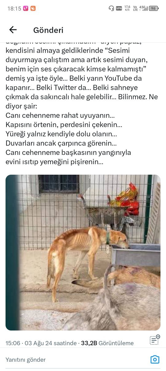 Sa gençler sokak hayvanlarının uyutulacak olmasını doğru buluyonuz mu?