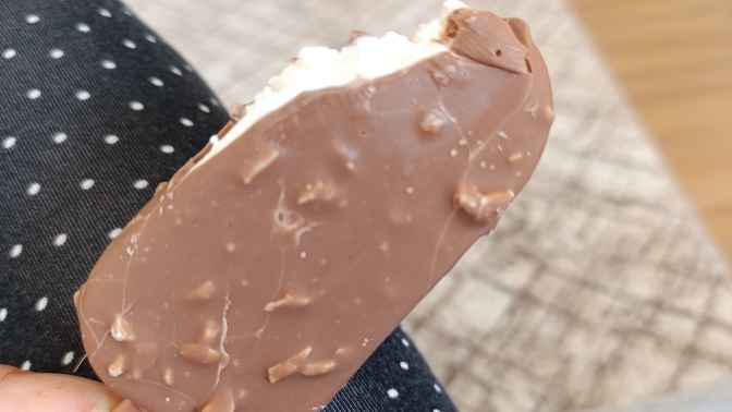 Ben en çok bademli dondurma seviyorum. Senin en sevdiğin dondurma hangisi?