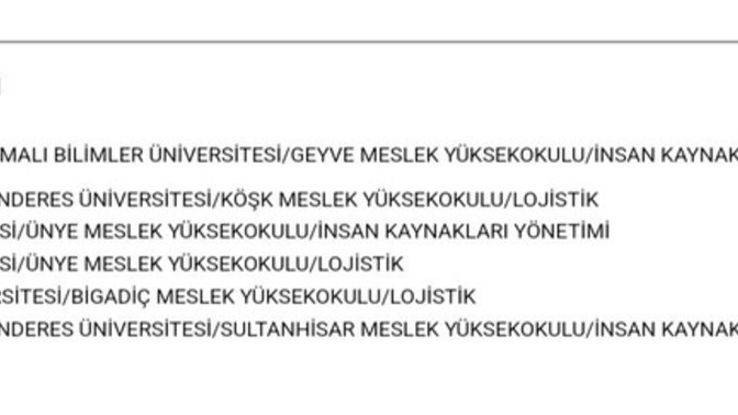 Tercih nasıl ist yaşıyorum hem sıkıldım bunaldım hemde lojistik okudum lisede gitmek istiyorum çıkarsa bi tanesi kötü mü bunlar?