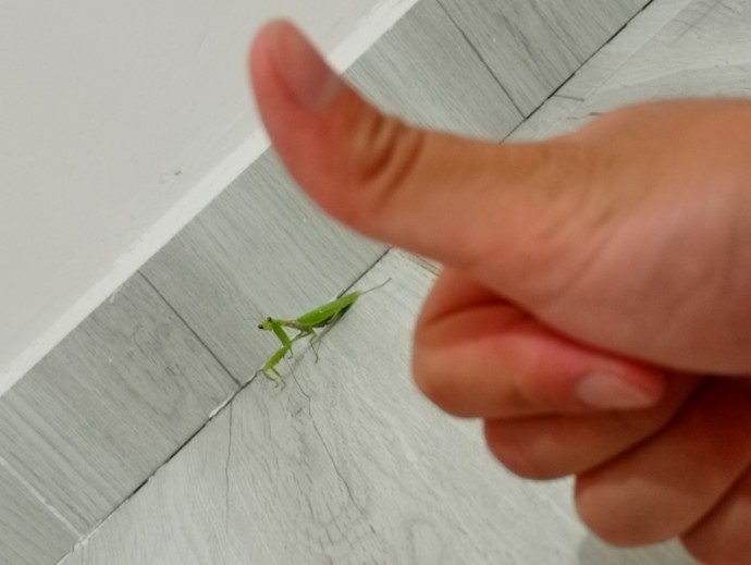 Arkadaşlar sapığın biri benden izinsiz evime girmiş. Polisi aramalı mıyım?