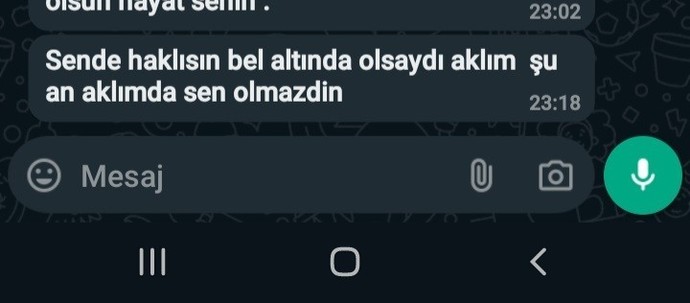 Eski sevgilim bunu dedi ne demek?